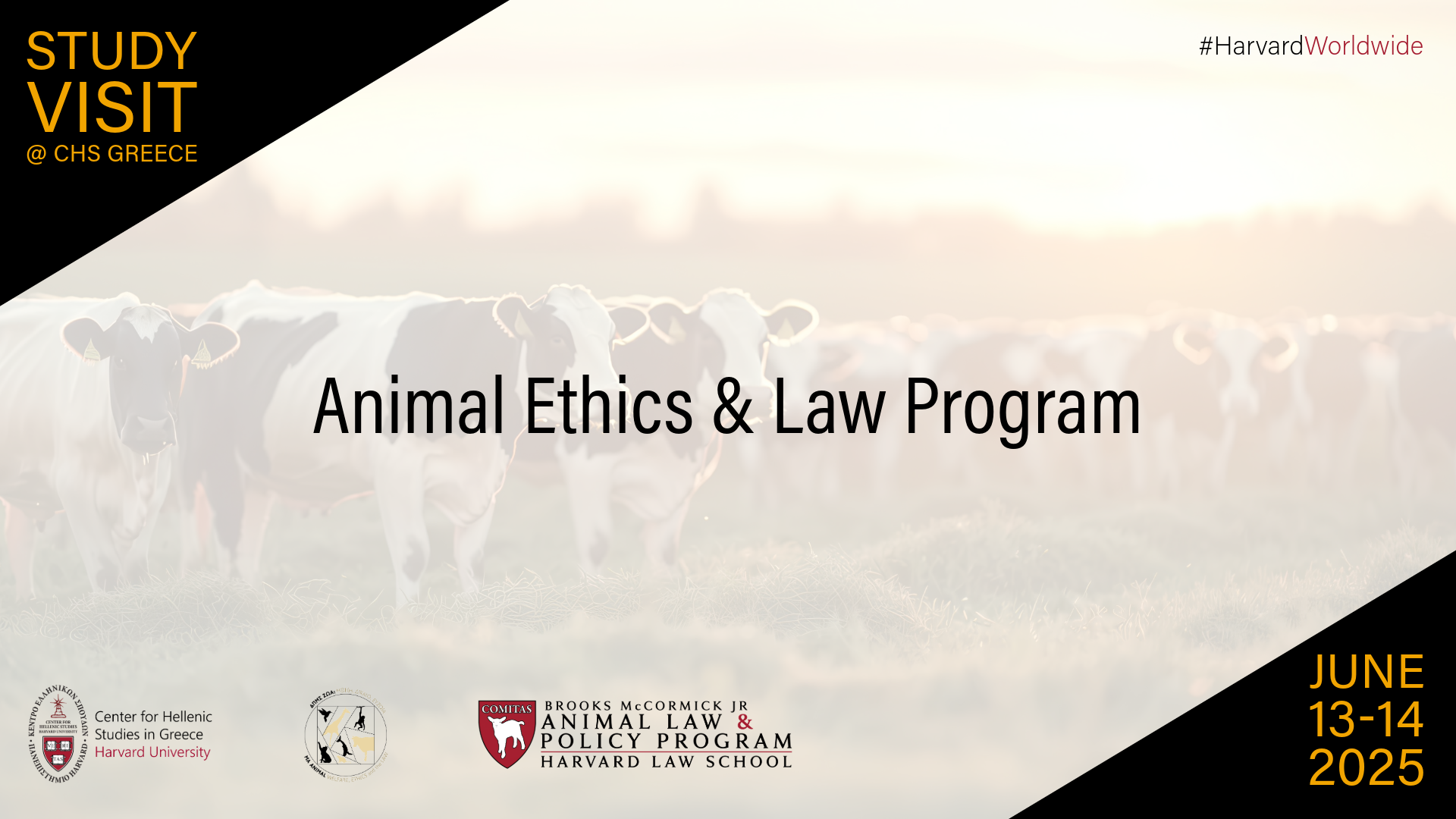 Animal Ethics & Law Program Study Visit 2025 poster.