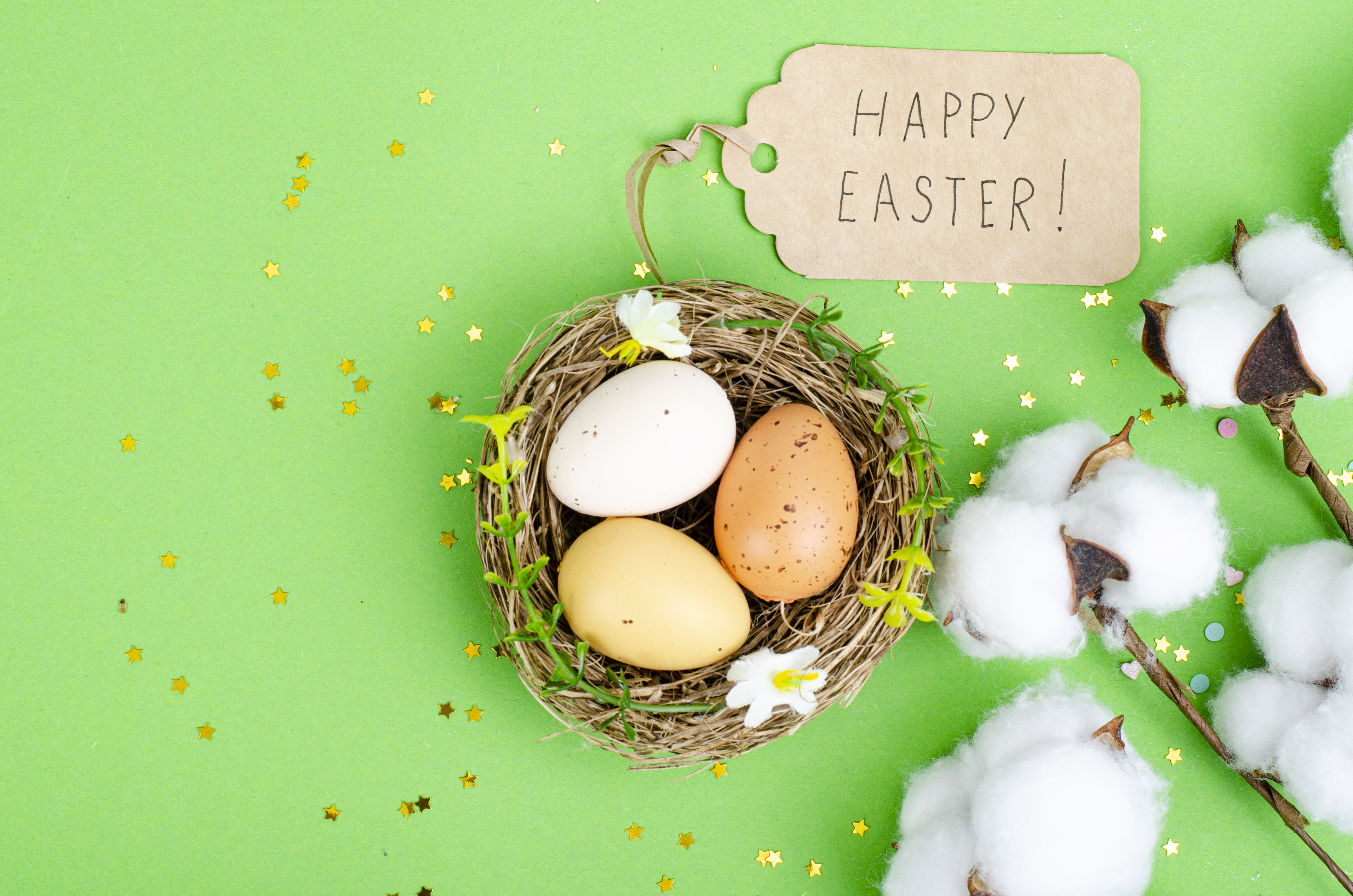 Top view of three lightly colored eggs in a nest against a green background with fluffy cotton stem on the side and a carton label that reads 