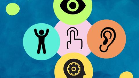 Five colorful circles on a blue background, each with a black icon representing a different sense or function: an eye, an ear, a touching hand, a person with raised hands, and a head with a gear inside.