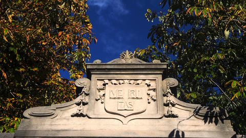 Sunlight illuminates an ornate stone crest bearing the word “Veritas,” framed by autumn leaves.