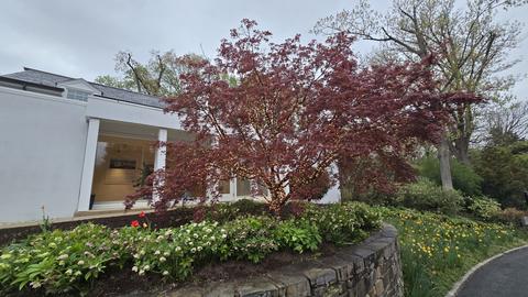 A red-leafed tree wrapped in small white lights stands in front of a white building, surrounded by blooming flower beds and spring greenery along a curved stone wall and pathway.