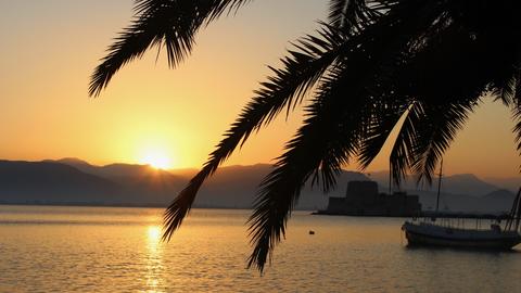 Sunset view photographed through leafs of a palm tree.