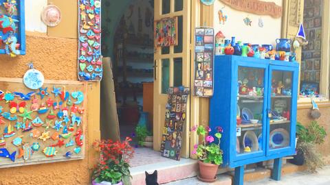 Cat standing outside a small shop with colorful souvenirs.