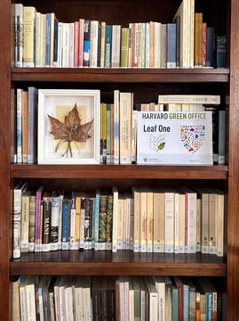 Leaf One Certification