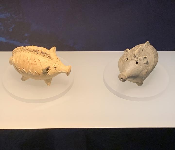 A close-up of two clay pigs.