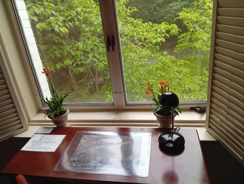 Small wooden desk beneath a wide window, with two potted plants and a black desk lamp.