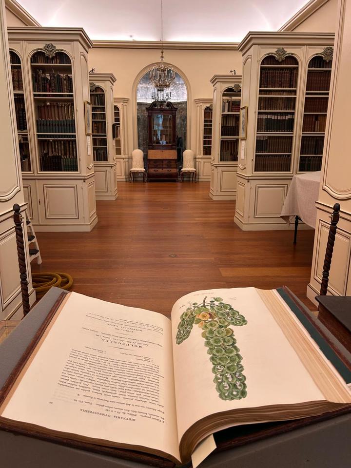 Open illustrated botanical book displayed on a stand in an elegant library room lined with tall cream-colored bookshelves and wooden floors.