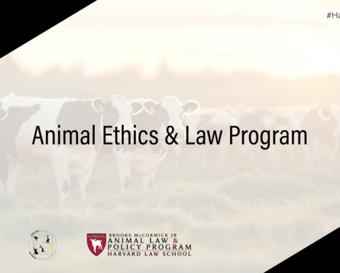 Animal Ethics & Law Program Study Visit 2025 poster.